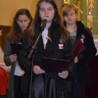 Obchody Święta 11 Listopada w Brzeziu 2015 