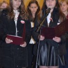 Obchody Święta 11 Listopada w Brzeziu 2015 