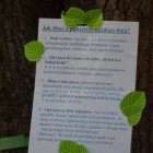 Rozdanie nagród w konkursie ekologicznym - Gminny Dzień Dziecka