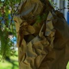 Rozdanie nagród w konkursie ekologicznym - Gminny Dzień Dziecka