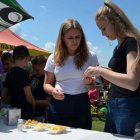 Jubileuszowy Piknik Rodzinny w Targowisku