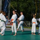 XIX Dni Szarowa