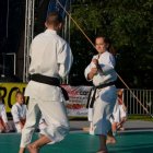 XIX Dni Szarowa