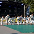 XIX Dni Szarowa