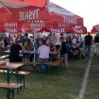 Dni Brzezia 2017