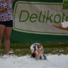 Dni Brzezia 2017