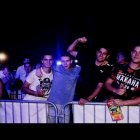 Dni Brzezia 2017
