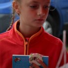 Dni Brzezia 2017