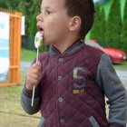 Dni Brzezia 2017