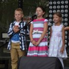 Dni Brzezia 2017