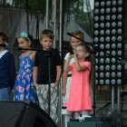 Dni Brzezia 2017