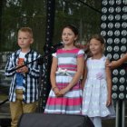 Dni Brzezia 2017