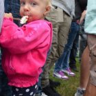 Dni Brzezia 2017