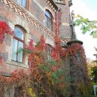 Pałac Żeleńskich w Grodkowicach