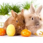 Z okazji nadchodzących Świąt...