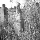 W jesiennej zadumie - cmentarz w Brzeziu