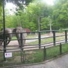 Grodkowickie przedszkolaki w zoo