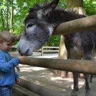 U przedszkolaków z Targowiska…