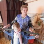 „Gościnna Dąbrowa”- Gospodarstwo Agroturystyczne