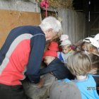 „Gościnna Dąbrowa”- Gospodarstwo Agroturystyczne
