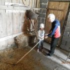 „Gościnna Dąbrowa”- Gospodarstwo Agroturystyczne