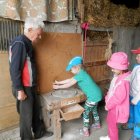 „Gościnna Dąbrowa”- Gospodarstwo Agroturystyczne