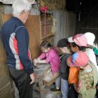 „Gościnna Dąbrowa”- Gospodarstwo Agroturystyczne