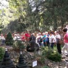  „Zielone wzgórza nad Soliną..”- nasza romantyczna wyprawa.