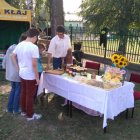 Dąbrowski Dzień Ziemniaka 