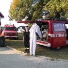 Dąbrowski Dzień Ziemniaka 