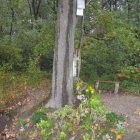 Krzewienie tradycji i kultury.