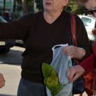 V wymiana ogrodowa „Z ręki do ręki”