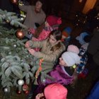 Choinkowy zawrót głowy