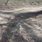Wiosenne porządki
