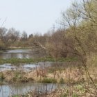 Wiosenne porządki
