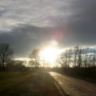 Grodkowice – Raj dla ornitologów