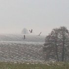 Grodkowice – Raj dla ornitologów