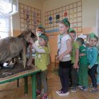 Wizyta pana Leśnika i leśnych Ludków w przedszkolu Dąbrowie