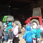 Przedszkolaki z Szarowa w gospodarstwie rolnym