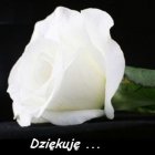 "Ludzie, których kochamy, zostają na zawsze, bo zostawili ślady w naszych sercach"