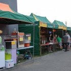 Dni Szarowa są już pełnoletnie!