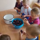 Śliwkowy zawrót głowy!
