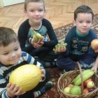 Pyszne i zdrowe „szaszłyki owocowe”