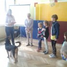 Fundacja „Dar Serca”