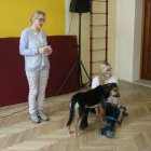 Fundacja „Dar Serca”