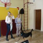 Fundacja „Dar Serca”