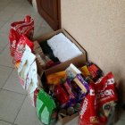 Gwiazdka dla zwierzaków- podsumowanie akcji
