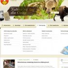 Nowa zakładka dotycząca pomników przyrody