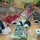 Zielone ogródki w przedszkolu w Dąbrowie