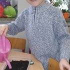 Zielone ogródki w przedszkolu w Dąbrowie